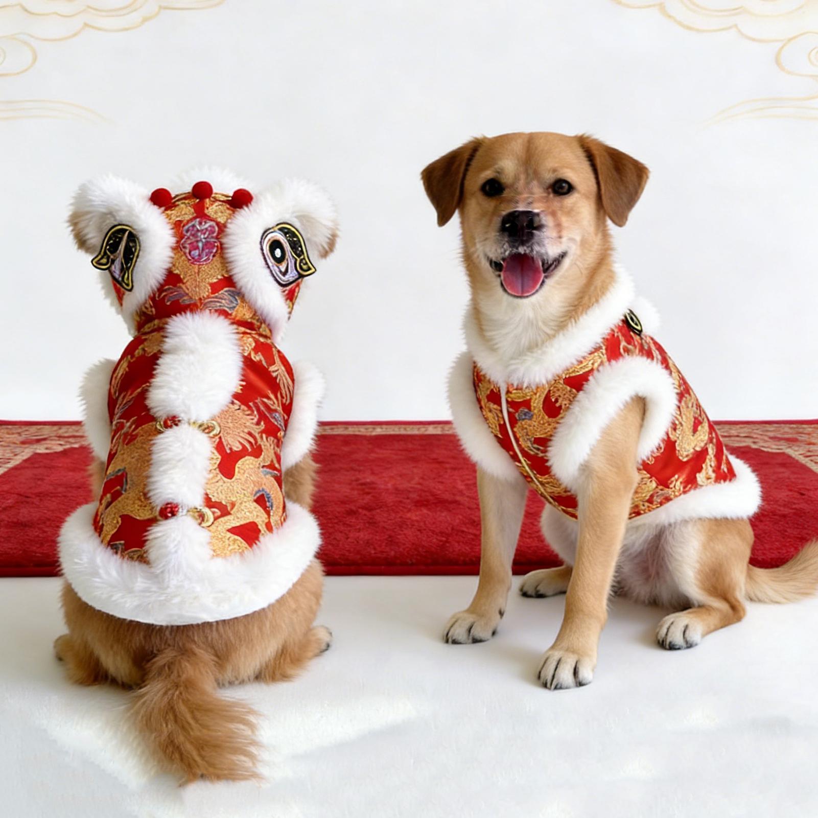 Lion Dance Cat Costume Winter  - Winter Clothing Dress Up บทวิจารณ์และราคา