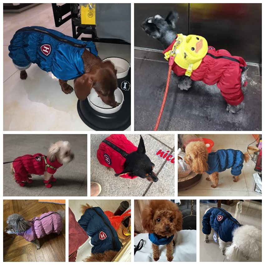 Zipper Snow Unisex Dog Waterpr - Winter Clothing Baby บทวิจารณ์และราคา