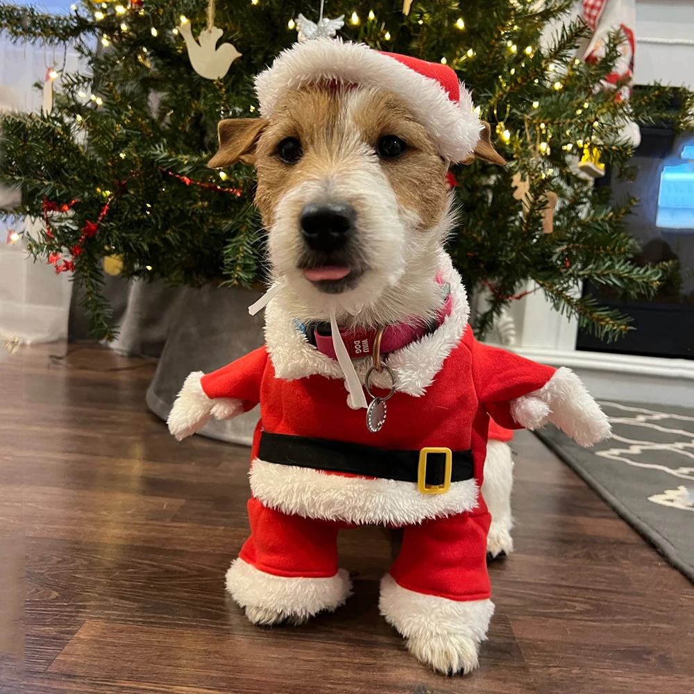 Christmas Clothes For Dogs Cat - Winter Clothing Dress Up บทวิจารณ์และราคา