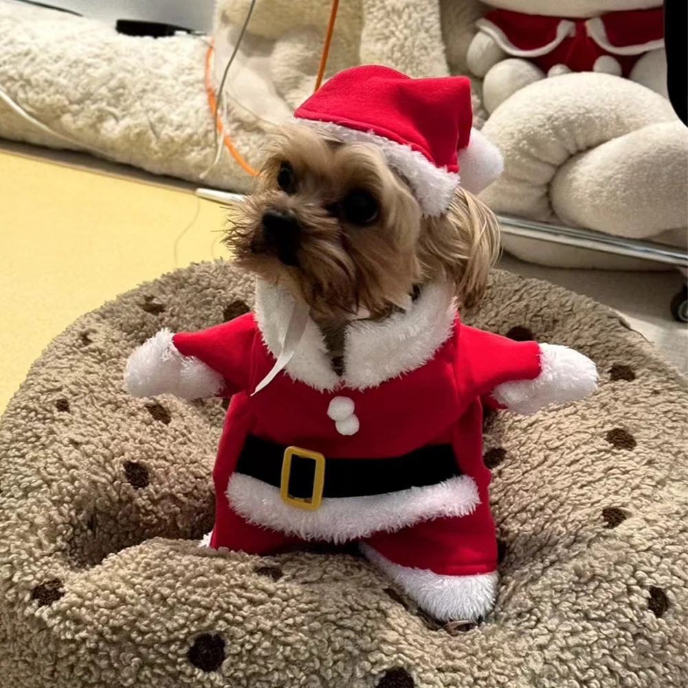 Christmas Clothes For Dogs Cat - Winter Clothing Dress Up บทวิจารณ์และราคา