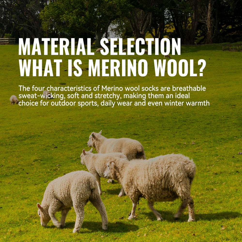 WRELS 1/2/3 Merino Wool Socks  - Thermal Sock Merino บทวิจารณ์และราคา